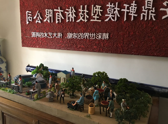 微缩景观模型